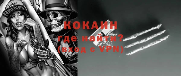 дживик Снежинск