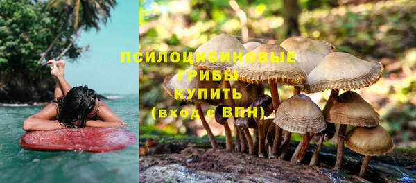 индика Балабаново