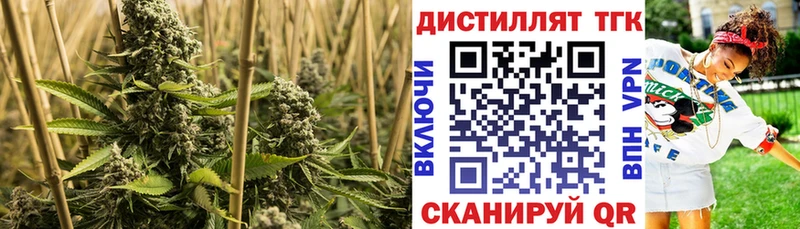 Дистиллят ТГК вейп с тгк  это формула  Гагарин 