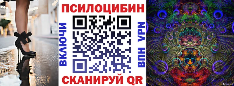 наркошоп  Гагарин  Псилоцибиновые грибы мицелий 